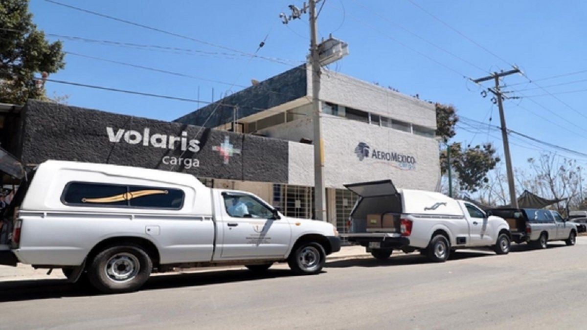 En cajas de cartón, así llegaron los cuerpos de tres indígenas muertas en la frontera