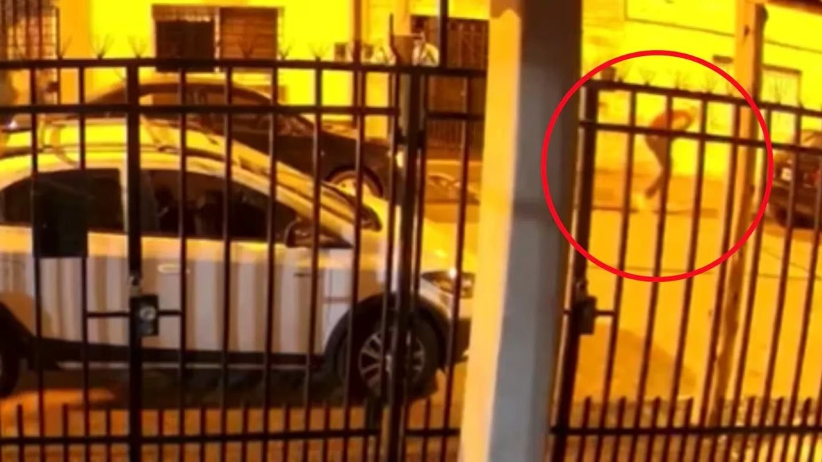 Policías se defendieron a tiros de un asalto en Ramos Mejía: un ladrón murió