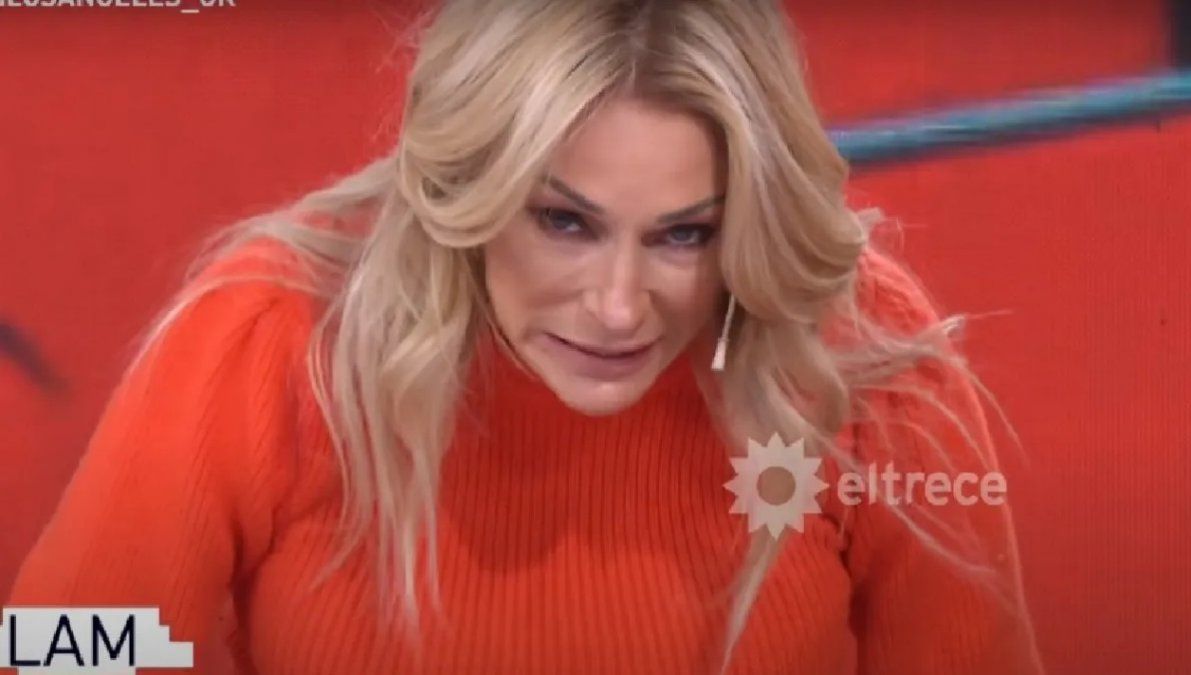 El lapidario mensaje de Yanina Latorre tras la derrota de Alberto Fernández: Te hicieron bosta