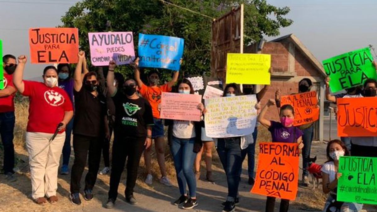 Los dueños difundieron en redes sociales el hecho, el cual tuvo eco entre los cibernautas y grupos pro animales que ayudaron a generar un movimiento para que sus voces fueran escuchadas por el Congreso del Estado de Morelos, con el objetivo de erradicar la violencia contra los animales.