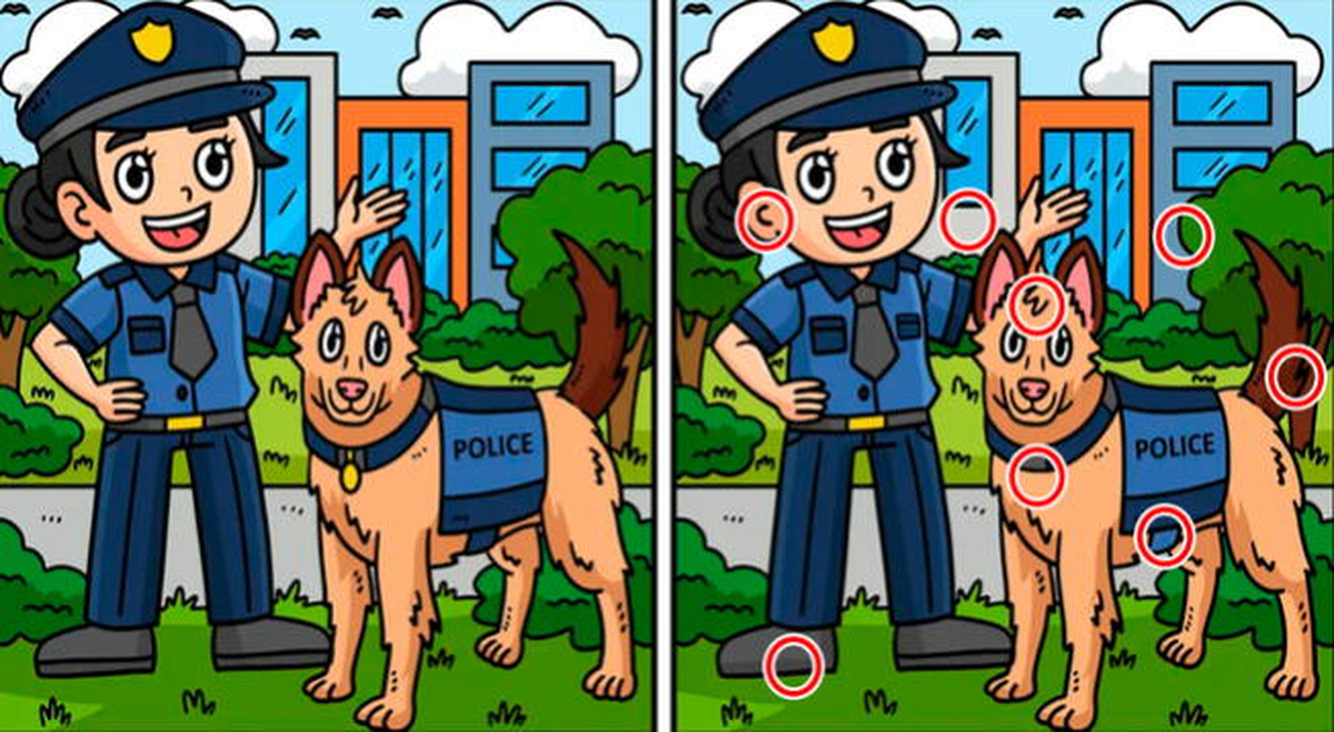 Solución del reto visual.