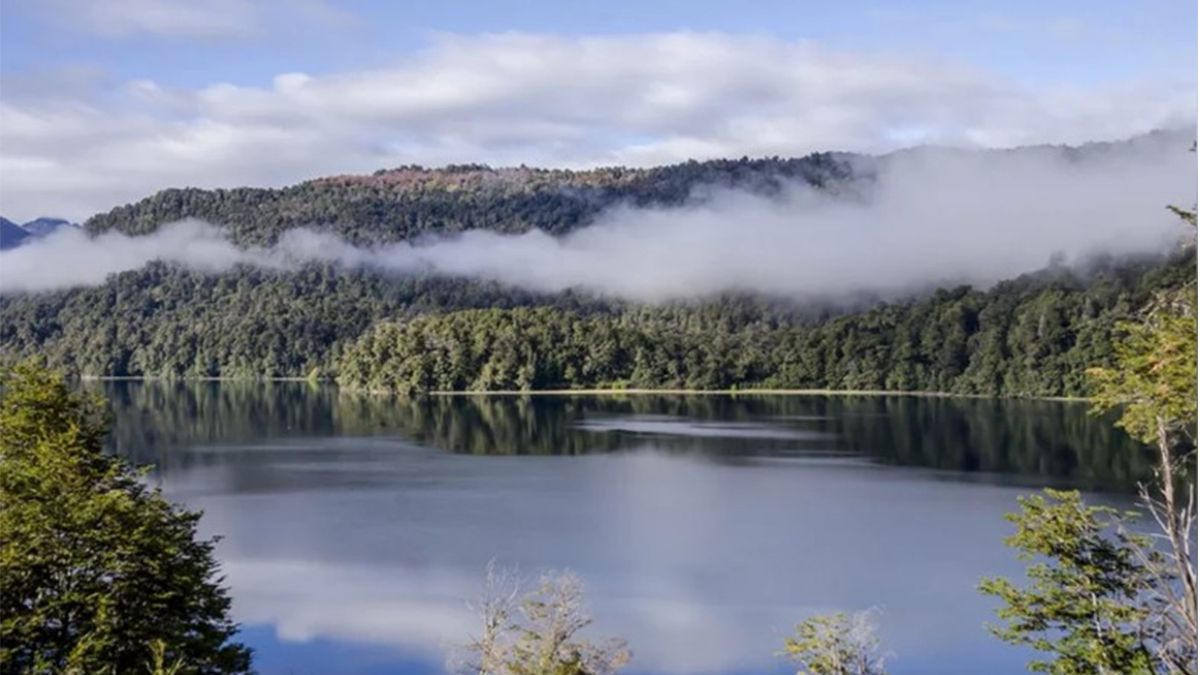 Video: así registraron dos pescadores un extraño movimiento en el lago Nahuel Huapi