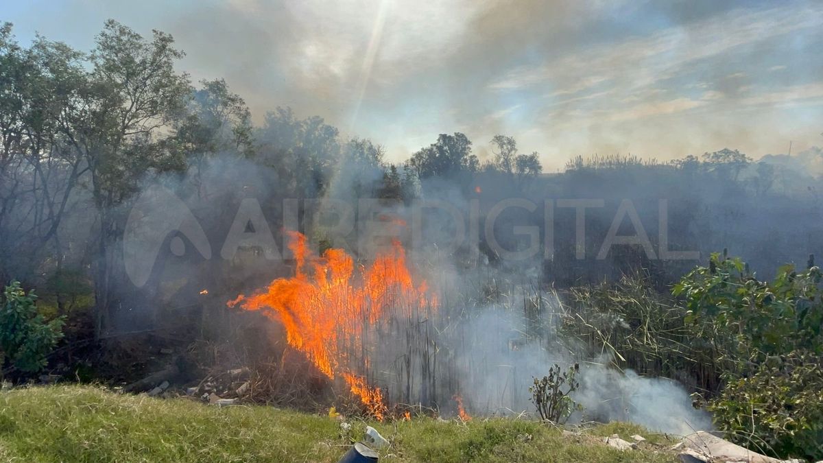 Incendio en los cañaverales de barrio Central Guadalupe en Santa Fe.