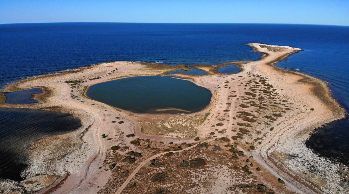 Qué se puede ver en el Islote de Lobos