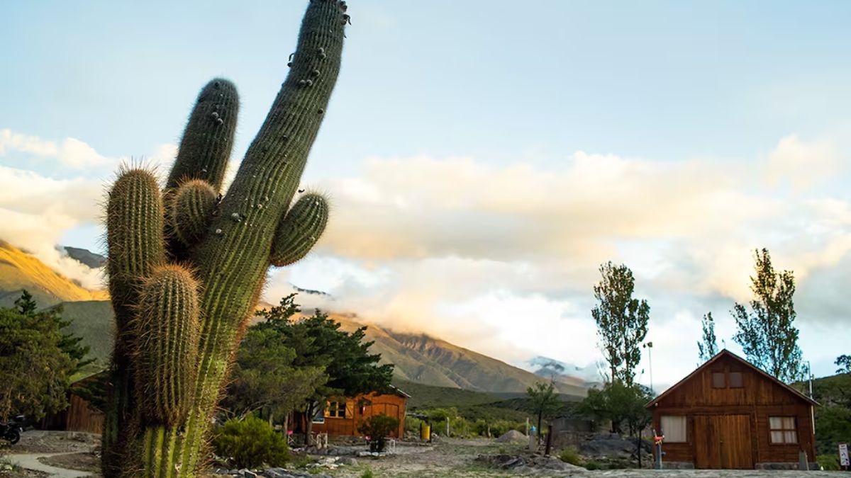 Conocido como el “balcón de los Valles”, Ampimpa es un mirador natural que permite contemplar gran parte del paisaje tucumano. Conocido como el “balcón de los Valles”, Ampimpa es un mirador natural que permite contemplar gran parte del paisaje tucumano.