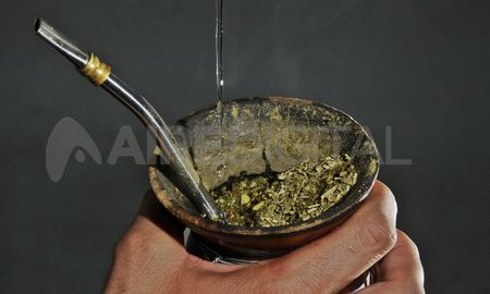 Preocupación en el sector yerbatero porque Brasil pide aumentar contaminantes en la yerba mate. Preocupación en el sector yerbatero porque Brasil pide aumentar contaminantes en la yerba mate.