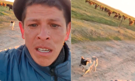 la triste historia de victor, el peon rural que lloro al despedirse de su perro tras ser echado de la estancia la triste historia de victor, el peon rural que lloro al despedirse de su perro tras ser echado de la estancia