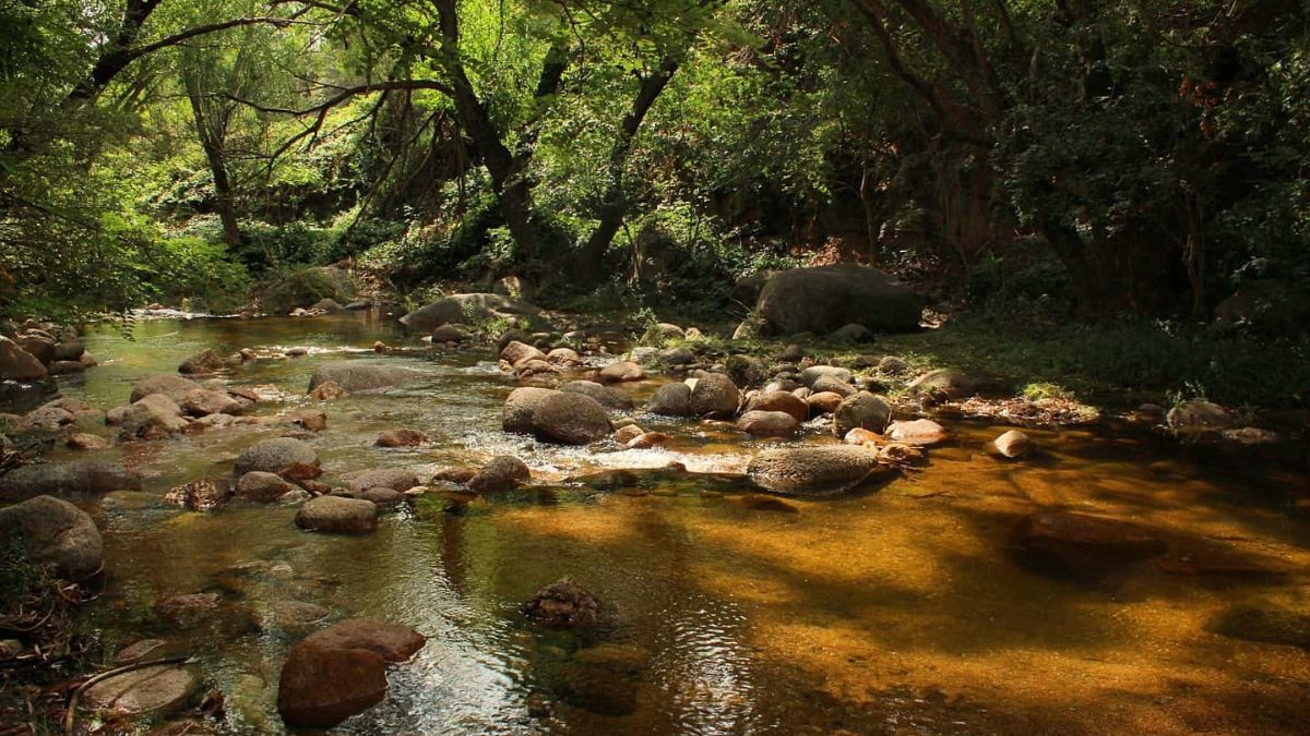 El Arroyo Benítez surge de la unión de los caudales Picaflor, El Bosque y Quebrada de las Vacas, garantizando aguas cristalinas y temperaturas frescas durante todo el año. El Arroyo Benítez surge de la unión de los caudales Picaflor, El Bosque y Quebrada de las Vacas, garantizando aguas cristalinas y temperaturas frescas durante todo el año.