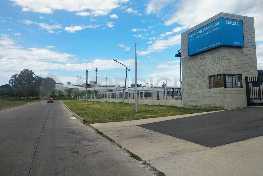 El hallazgo fue a las 13.35 en un descampado cerca del nuevo predio del Instituto Municipal de Salud Animal (Imusa).