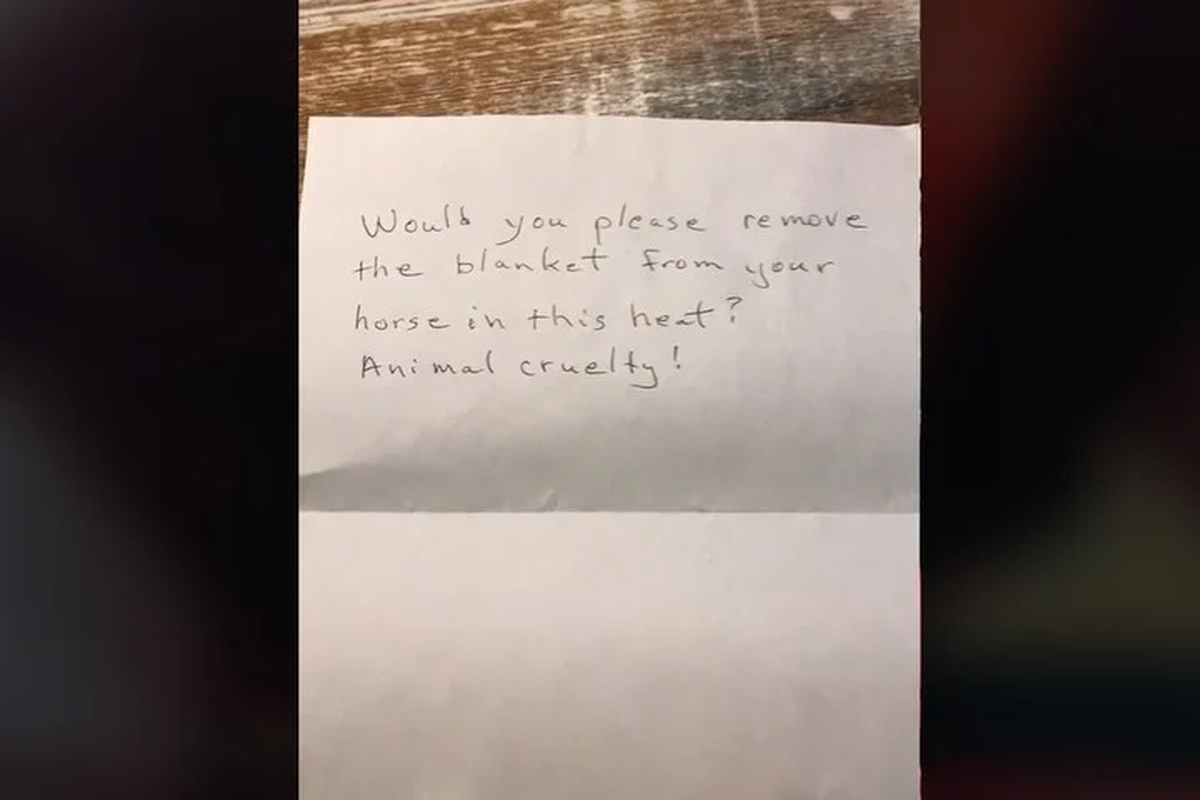 Nota. El texto que le escribi&oacute; su vecino. Foto: captura/TikTok @trauma_queen1.