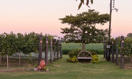 santa fe avanza en la caracterizacion de sus regiones vitivinicolas a traves de un estudio inedito santa fe avanza en la caracterizacion de sus regiones vitivinicolas a traves de un estudio inedito