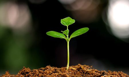 santa fe se prepara para el congreso de sustentabilidad con disertantes de primer nivel santa fe se prepara para el congreso de sustentabilidad con disertantes de primer nivel