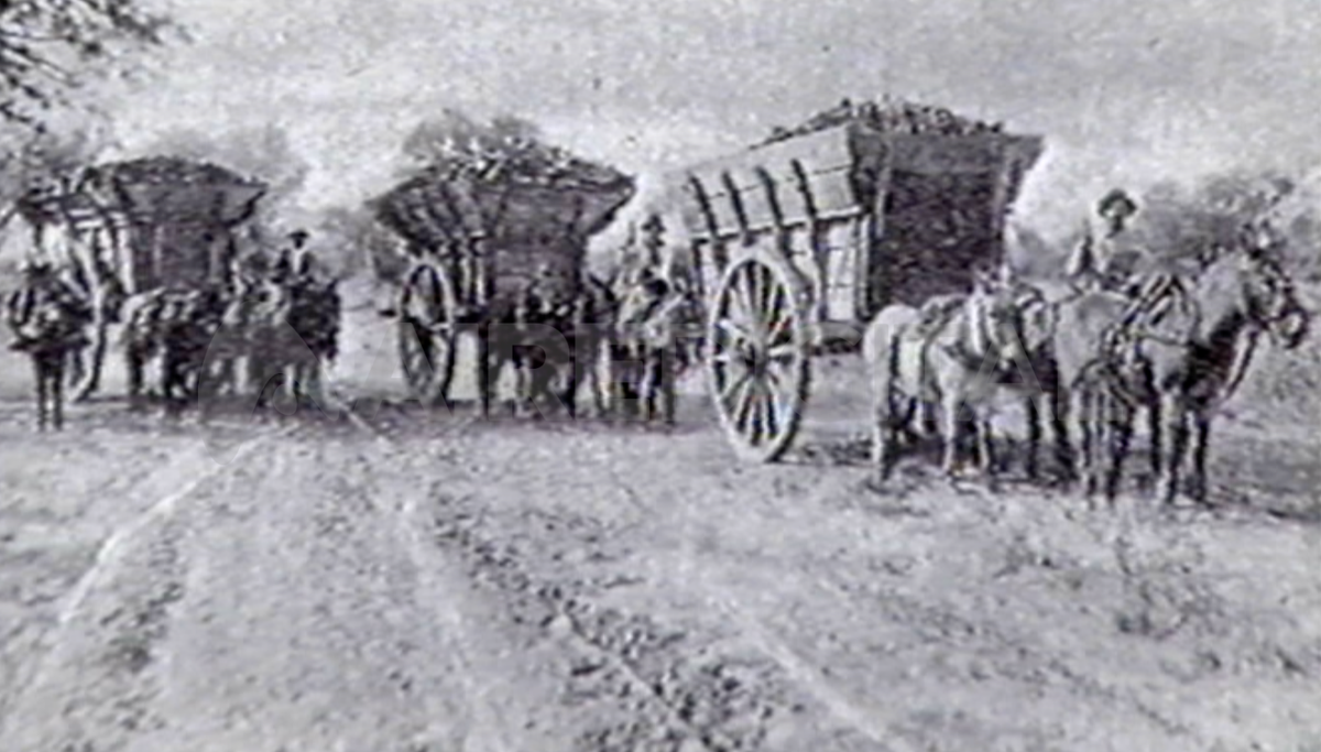 En las carretas transportaban madera y carbón que descargaban en el terreno que ahora ocupa la Plaza España. En las carretas transportaban madera y carbón que descargaban en el terreno que ahora ocupa la Plaza España.