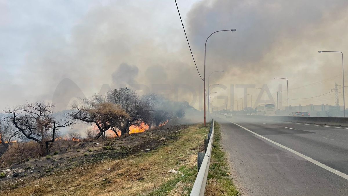 En enero de 2025, los incendios de pastizales en Santa Fe aumentaron un 46% respecto al año anterior. En enero de 2025, los incendios de pastizales en Santa Fe aumentaron un 46% respecto al año anterior.