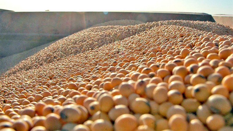 Tucumán presentará un amparo por el fondo sojero