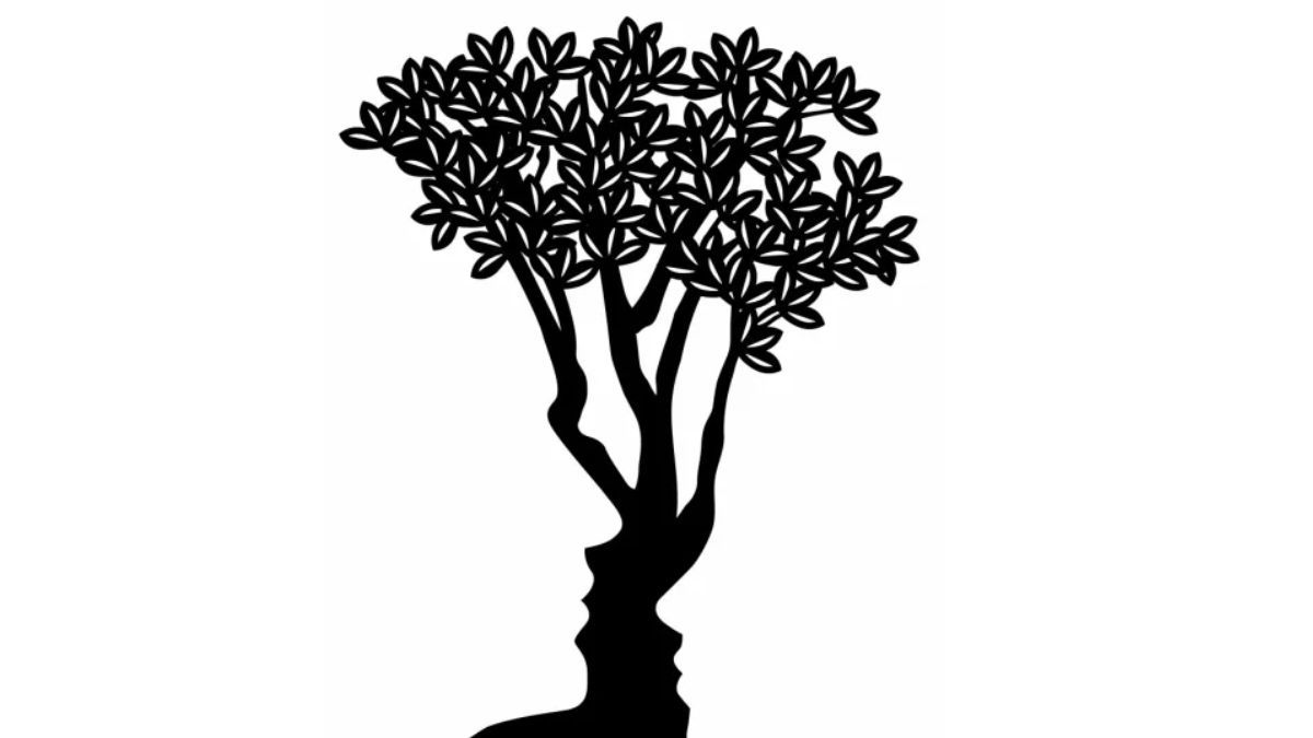 Test árbol Test árbol