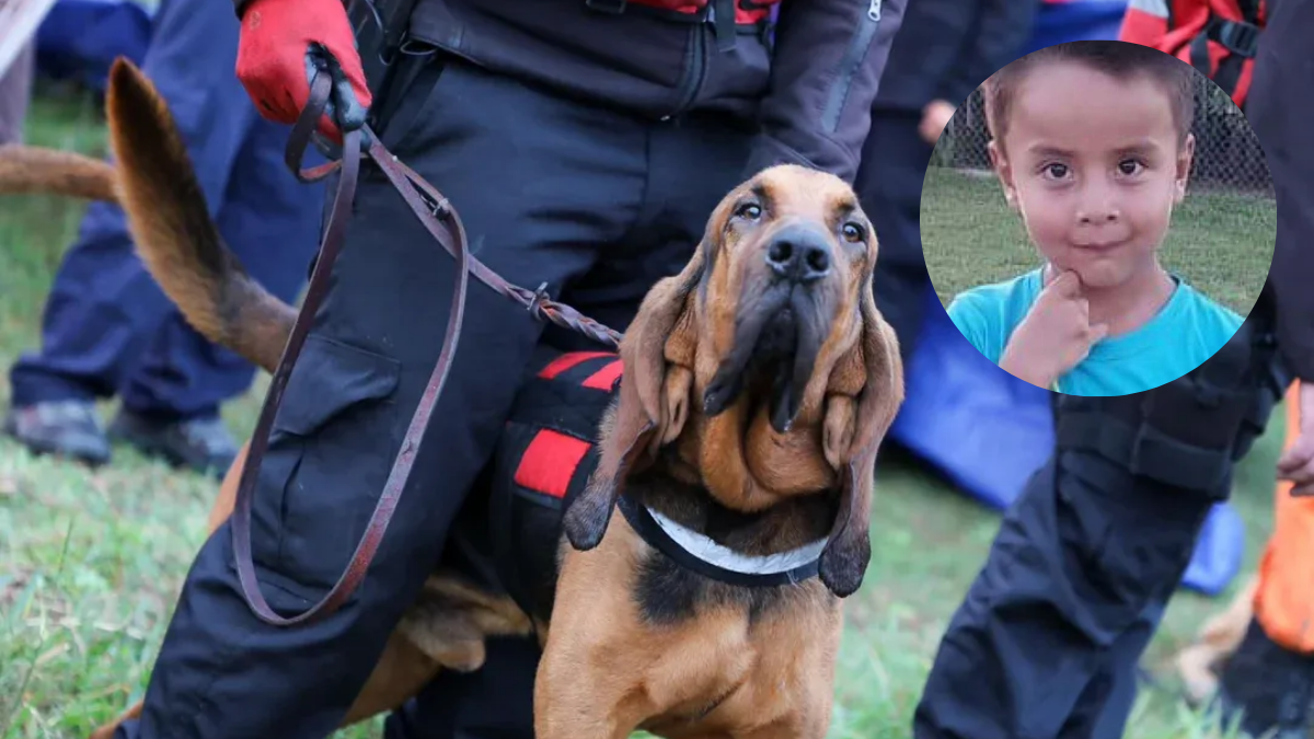 Nuevos rastrillajes por el caso Loan