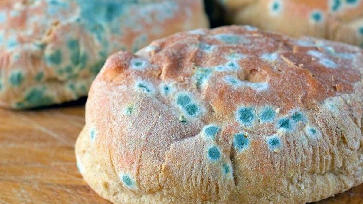 Moho en la comida: riesgos