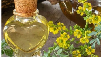 Cómo hacer caña con ruda casera: receta, historia y ritual del 1° de agosto