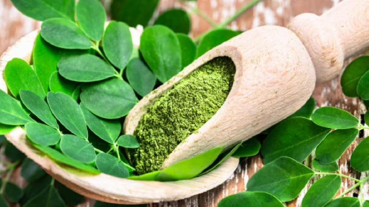Las hojas de moringa, ricas en vitamina C y otros antioxidantes.