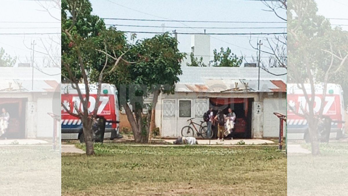 Santo Tomé: un recolector de ramas murió mientras trabajaba; investigan las causas