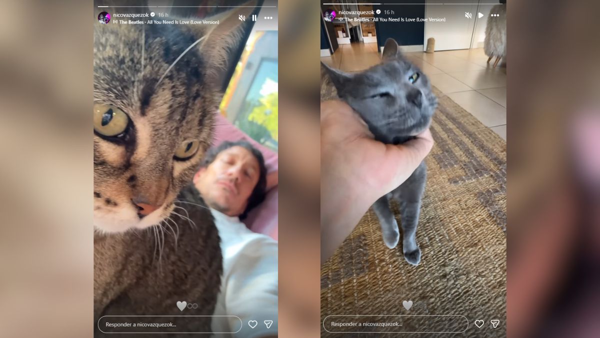 El posteo de Nico Vázquez no pasó desapercibido entre sus seguidores. El posteo de Nico Vázquez no pasó desapercibido entre sus seguidores.