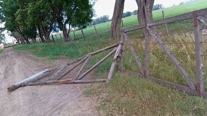 Abigeato sin límites: le arrancaron la tranquera para carnearle tres animales