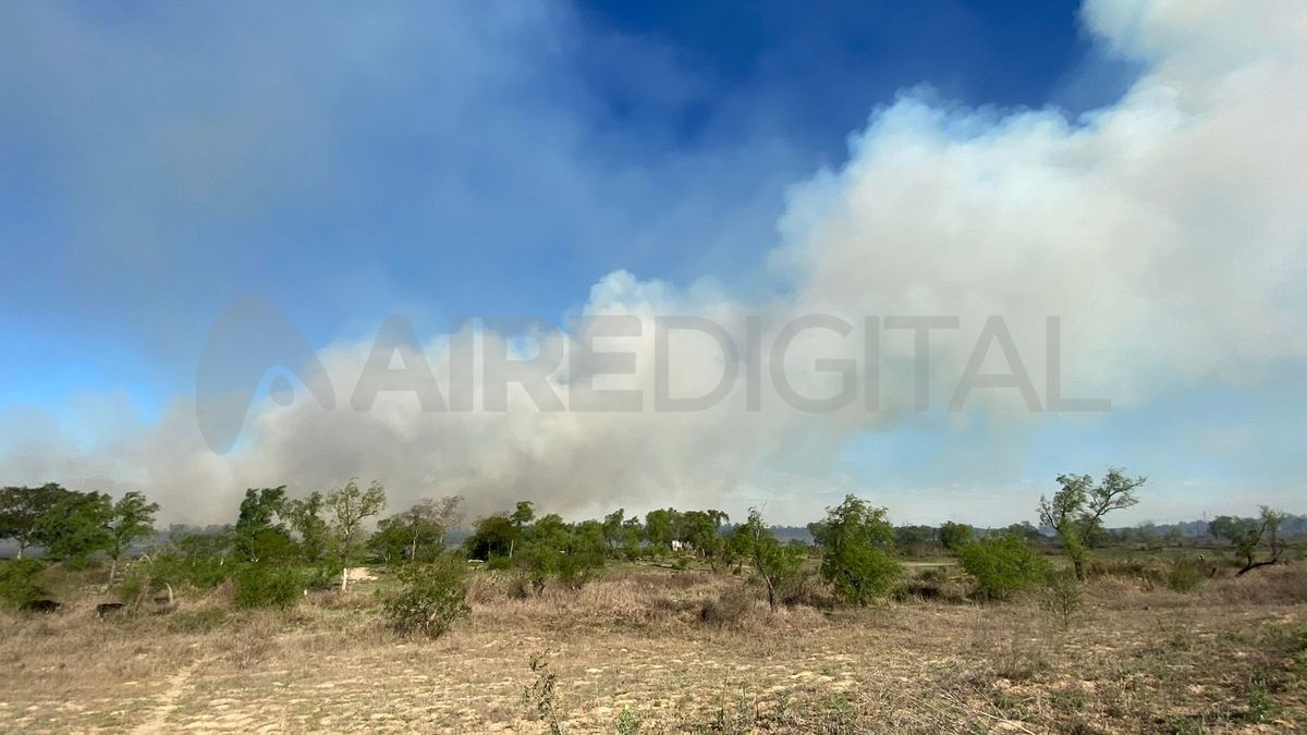 La columna de humo se pudo visibilizar desde los corredores viales y desde la ciudad de Santa Fe.