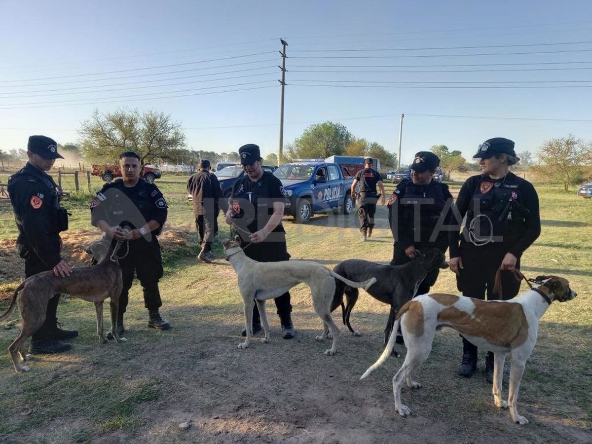 Los galgos fueron rescatados y luego trasladados hasta un establecimiento en Rosario.