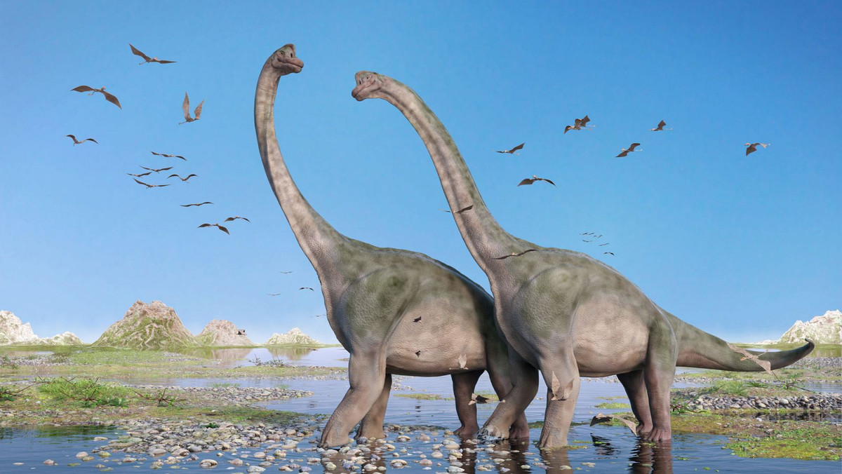 Un estudio ha desafiado una teoría histórica y podría cambiar lo que se pensaba de los dinosaurios. Un estudio ha desafiado una teoría histórica y podría cambiar lo que se pensaba de los dinosaurios.