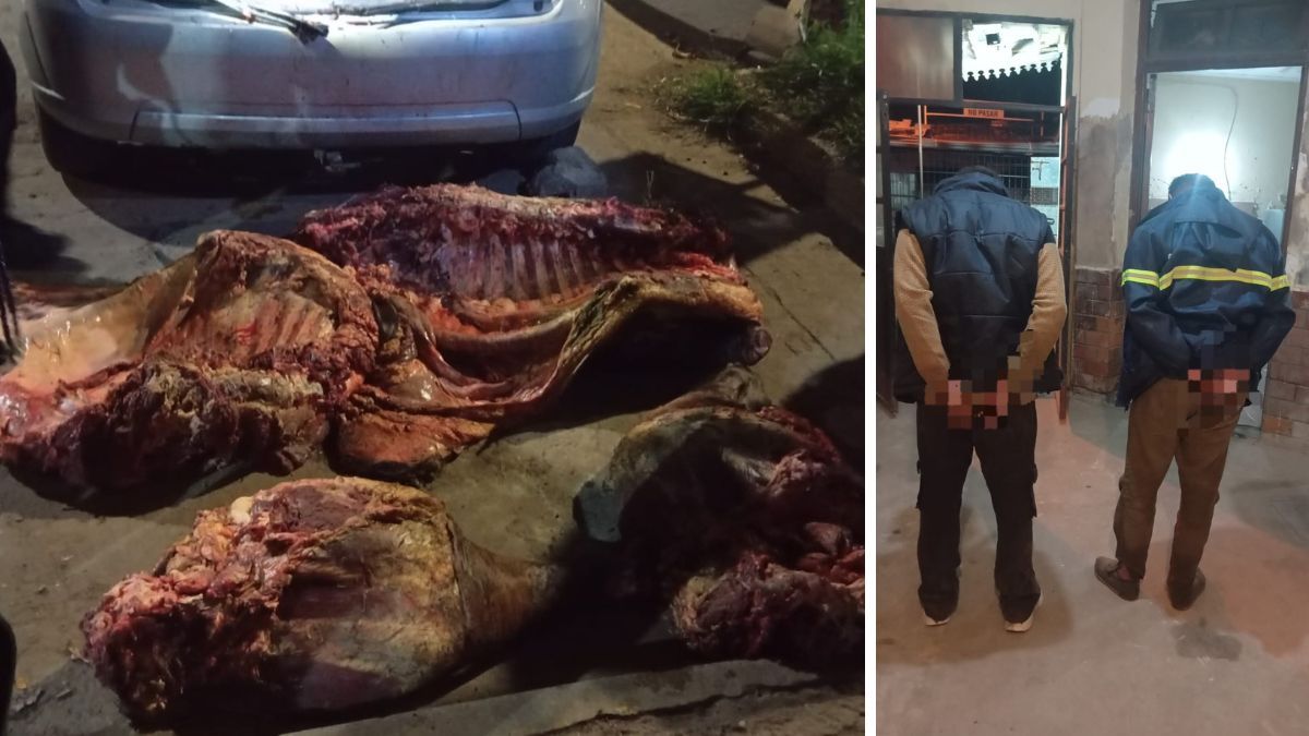 Ocurrió en la zona de Riobamba al 8200