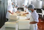 La lechería argentina afianza su crecimiento mientras el mundo enfrenta un escenario más incierto