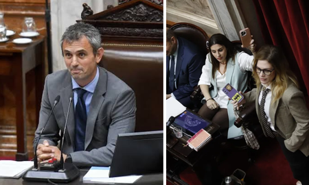 Revelan un chat entre Lilia Lemoine y Martín Menem en plena sesión: Es culpa de Santi Caputo Revelan un chat entre Lilia Lemoine y Martín Menem en plena sesión: Es culpa de Santi Caputo