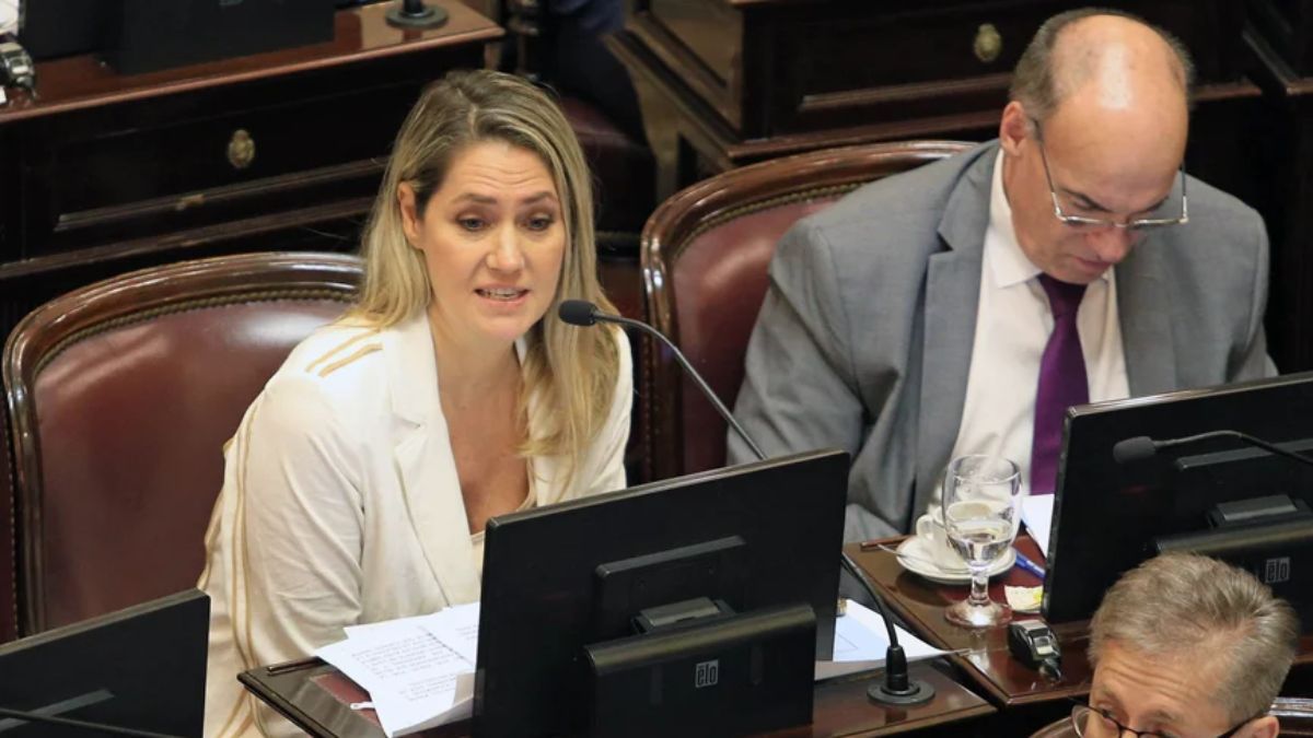 La miembro informante del proyecto fue la senadora Carolina Losada, una de las alentadoras del proyecto