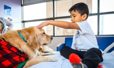Aire de Santa Fe | Perro compañia ilustrativa