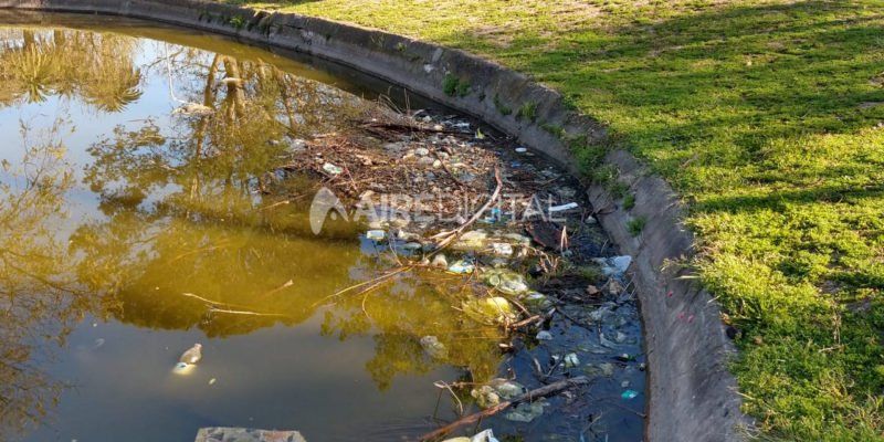 Basura, peces muertos y agua estancada: siguen los problemas de mantenimiento en el Parque Garay