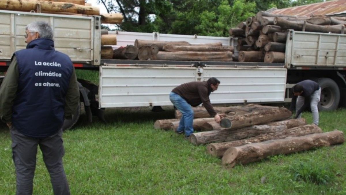 Los palos fueron resguardados tras el operativo policial.&nbsp;