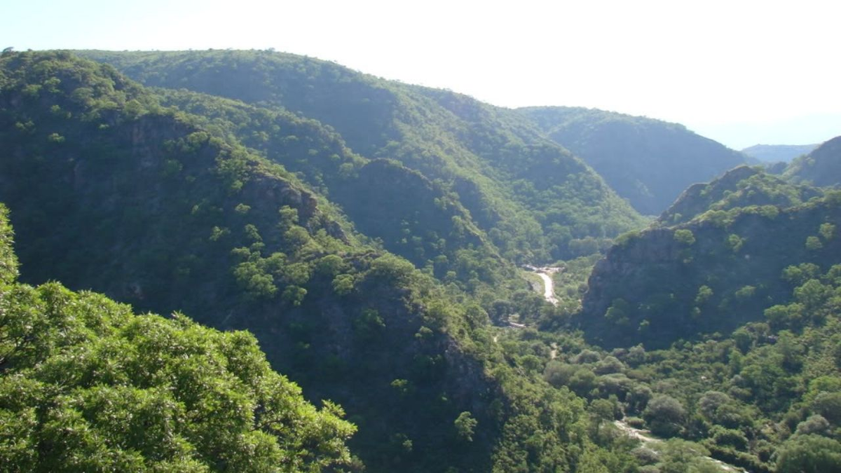 Bosque Serrano