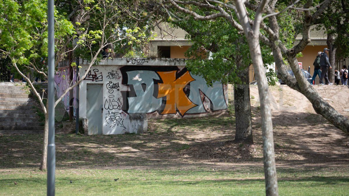 El municipio evalúa la posibilidad de renovar los baños del parque Sur o instalar dispositivos químicos. El municipio evalúa la posibilidad de renovar los baños del parque Sur o instalar dispositivos químicos.