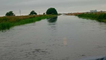 Voialidad Nacional rehabilitó la circulación en la Ruta Nacional 11.