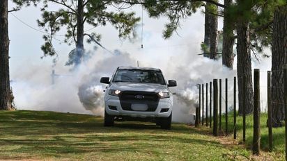 Colonia Mascías: la Provincia refuerza acciones preventivas ante la proliferación de mosquitos