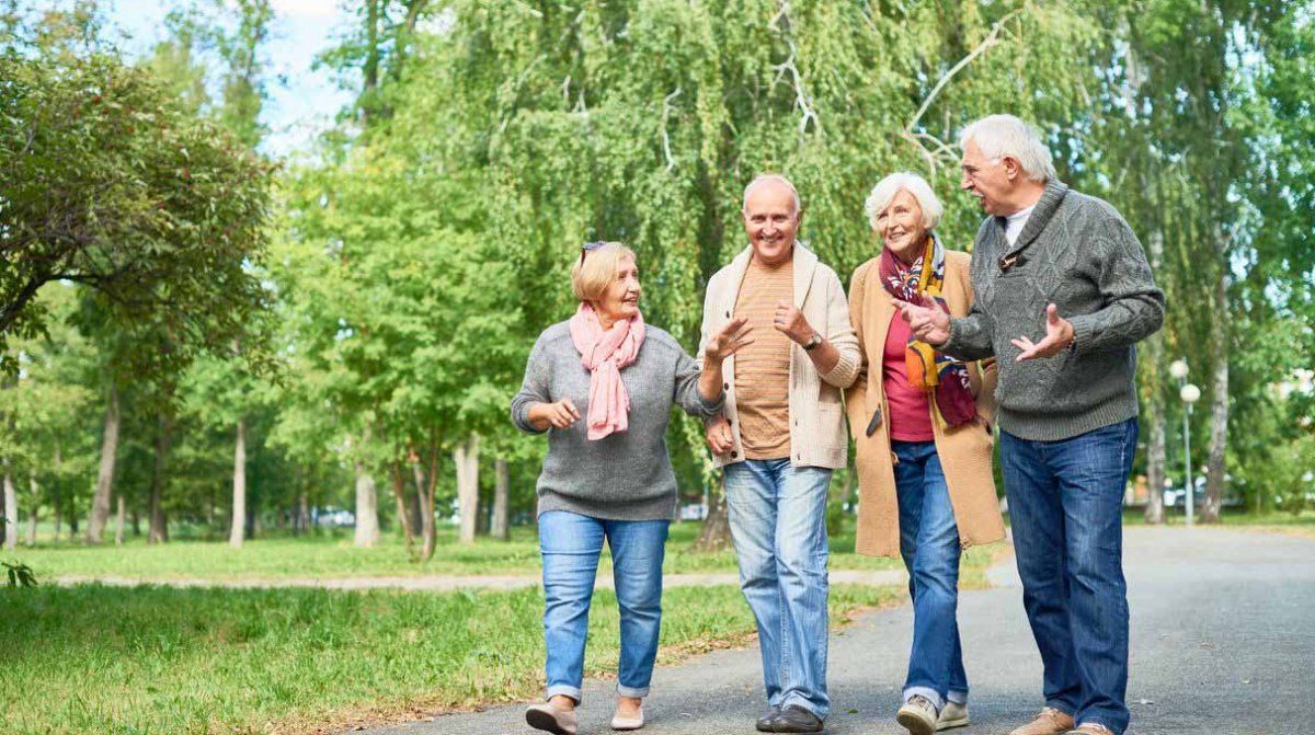 5 actividades al aire libre para adultos mayores&nbsp;