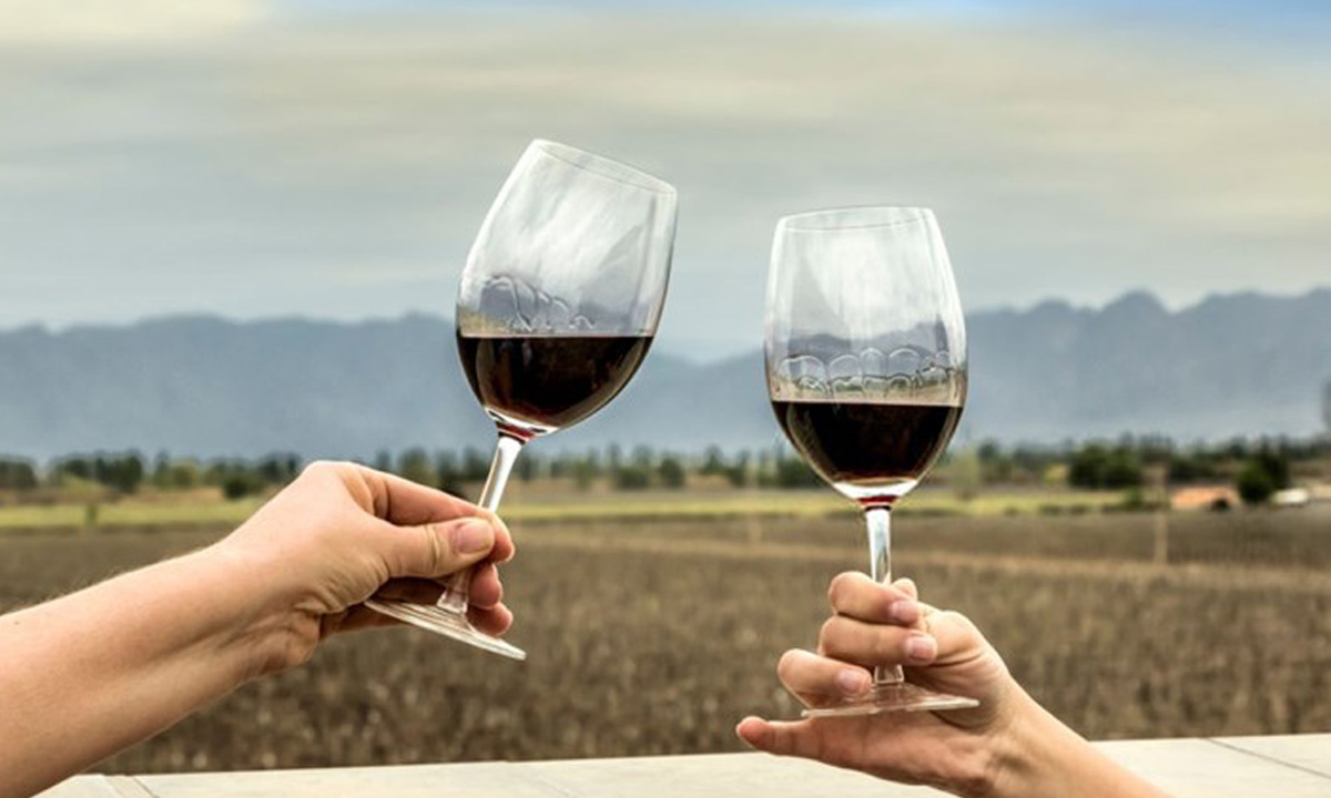 Día del Vino en conmemoración del decreto presidencial de 2010, el cual lo declaro bebida nacional argentina.