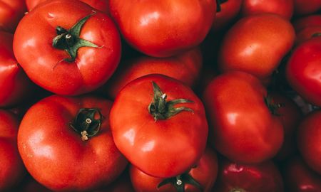 Comer tomate ayuda a bajar de peso