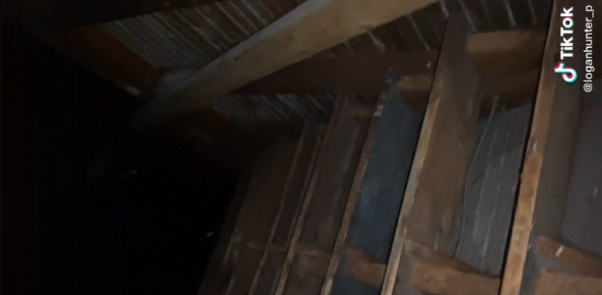 Video viral: descubrió una aterradora habitación secreta detrás de una pared de su hogar.