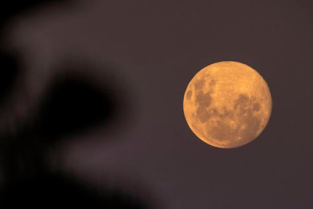 Descubrí cómo conectar con la energía de la última Luna Llena del año.