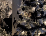 Viral: una mujer descubre una extraña criatura en su árbol de Navidad