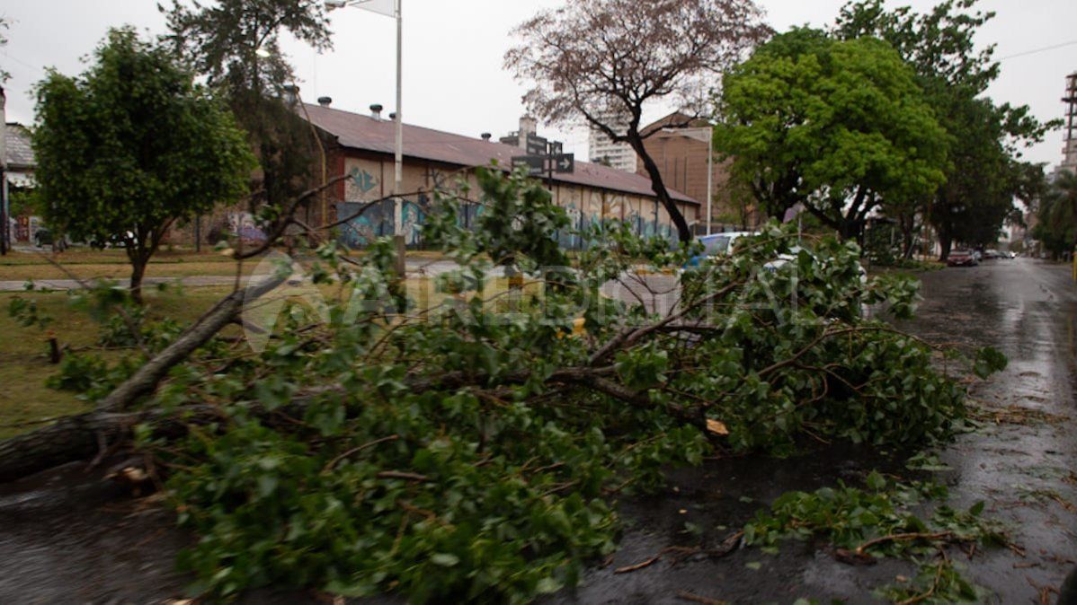 La lluvia y, sobre todo, las fuertes ráfagas, provocaron destrozos en la ciudad de Santa Fe.