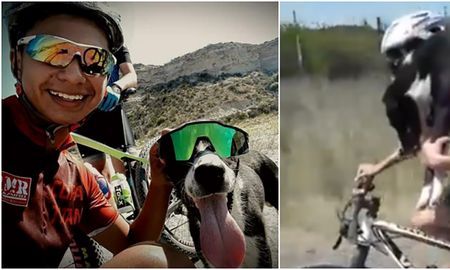 ciclistas rescataron a un perro en la ruta y lo cargaron en sus espaldas ciclistas rescataron a un perro en la ruta y lo cargaron en sus espaldas