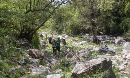 un boy scout de 11 anos murio aplastado por un arbol un boy scout de 11 anos murio aplastado por un arbol